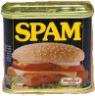 spam
